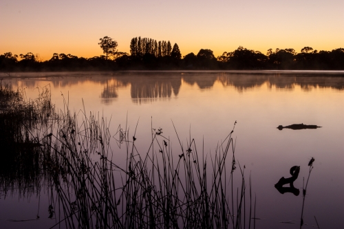 Gosling Creek  Reserve